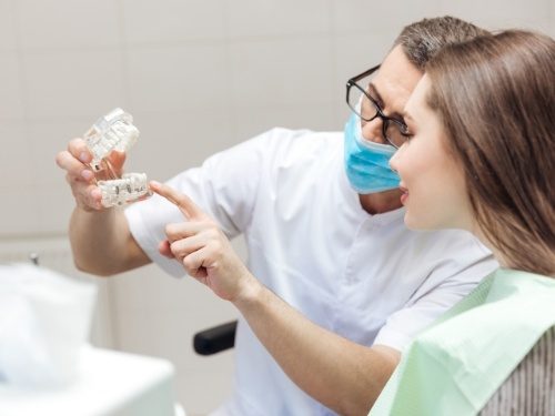 Dentist showing a patient a model of the mouth